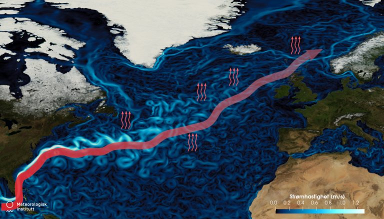 En forenklet versjon av Golfstrømmen der du ser en rød pil gå fra USAs østkyst mot  og krysser Atlanterhavet som den nordatlantiske strømmen. Den røde pilen avgir varme til havet og luften, som er illustrert ved små røde piler som peker opp av havet.
