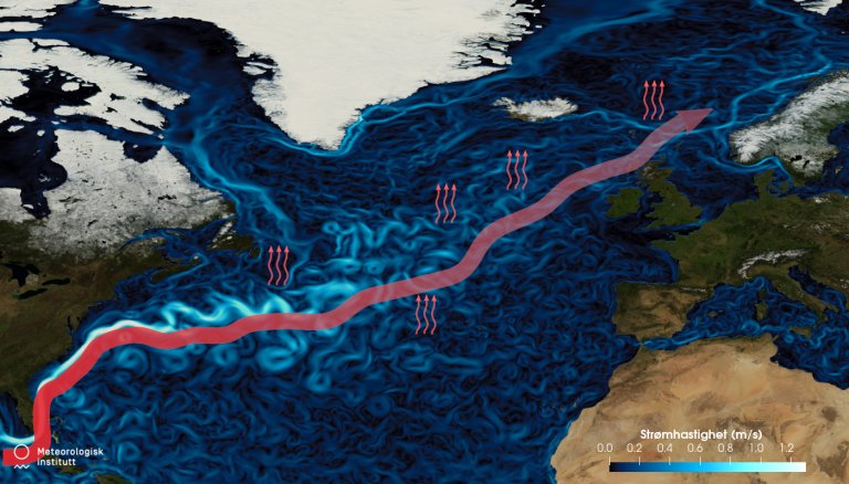 Hva Er AMOC Og Hva Betyr Det At Den Kan Kollapse?