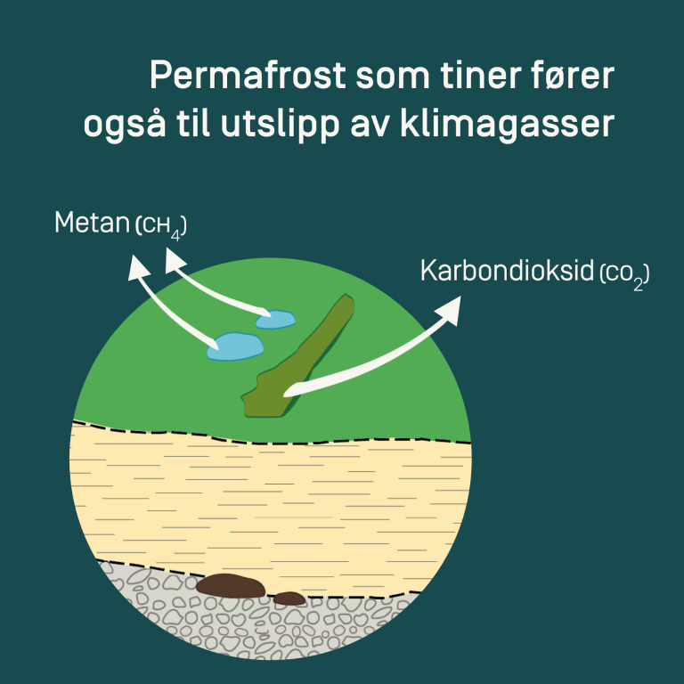 Illustrasjon som viser hvordan klimagasser siver ut av bakken når permafrosten tiner. 